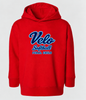 VELOCITY SOFTBALL TODDLER HOODIE